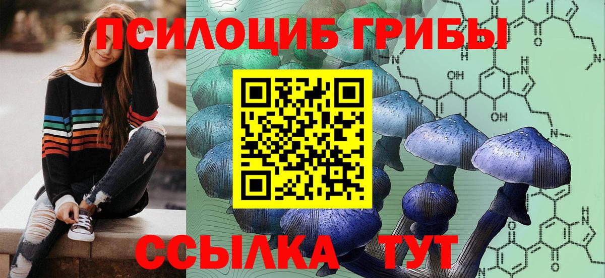 Псилоцибиновые грибы Cubensis  Галлюциногенные грибы Psilocybine cubensis  Реж  Вход с VPN 