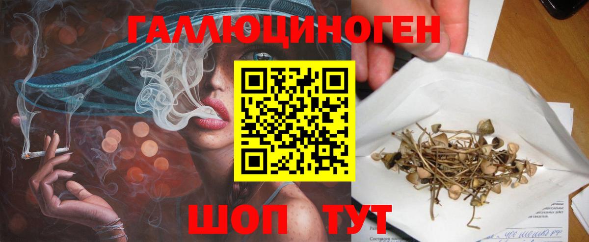 Галлюциногенные грибы GOLDEN TEACHER Реж